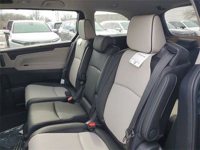 2026 Honda Odyssey Elite